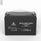 Batterij van Ah 12v Lifepo4 van het douanelood de Zure 100 voor UPS